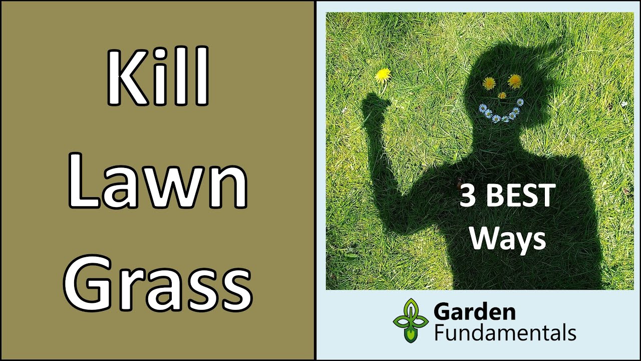 How to Kill Lawn Grass for a New Garden  🧤🥽🚽 3 Best Methods Compared