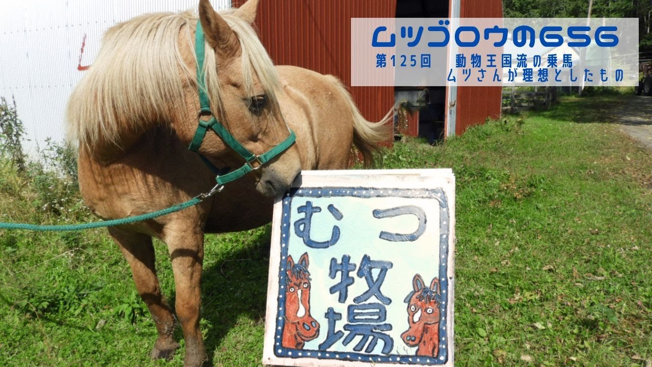 第125回 　動物王国流の乗馬　ムツさんが理想としたもの