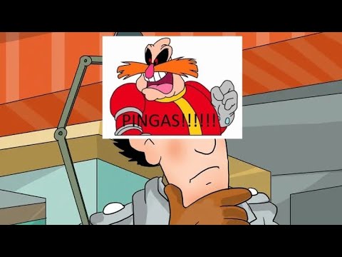 New inspector PINGAS