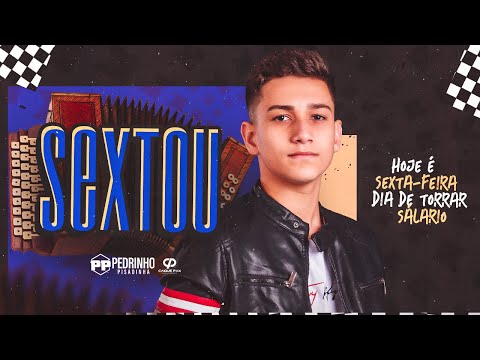 HOJE É SEXTA-FEIRA DIA DE TORRAR SALÁRIO - Pedrinho Pisadinha ( Áudio Oficial ) SEXTOU SEXTOU
