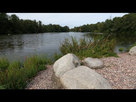 Eindrücke aus dem Wassergarten der Landesgartenschau Fulda am ersten Septemberwochenende