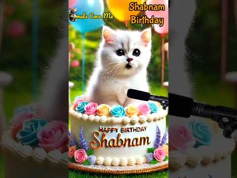 HAPPY BIRTHDAY SHABNAM | HAPPY BIRTHDAY SONG WITH NAMES | Adorable Cute Cat 😺 #cat #happybirthday