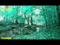 Dave Grusin - Bossa Baroque