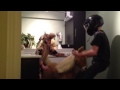 Harlem Shake Bathroom Version