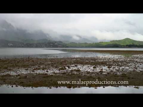 WIndward O'ahu Medley Part 1