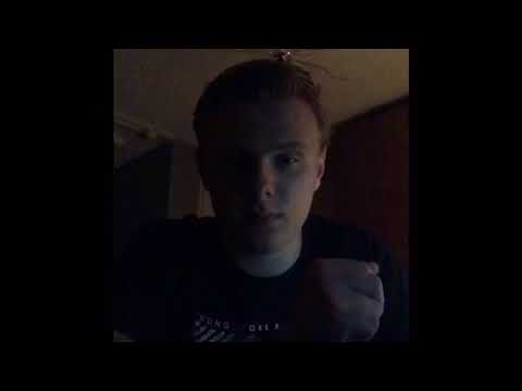 Een goede dag voor de ezel