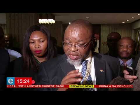 Mantashe meets Russian counterpart