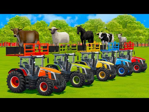TRANSPORTING COWS, SHEEPS, HORSES, BULLS, GOATS & TRACTORS WITH MAN TRUCKS - Farming Simulator 22