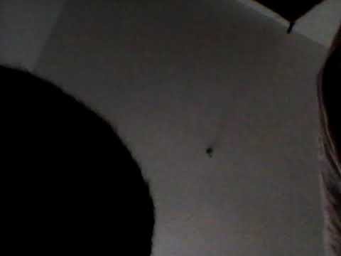 Rtomt