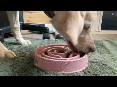 Billie‘s Lunchtime! 4 Minute-Meal