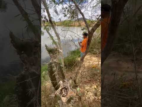 Barragem da serra negra / Pedro Alexandre - Ba.                     #nordeste