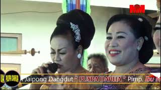 Download lagu Ucing  Ucingan Jaipong Puspa Dahlia Karang Baru Kuningan.  mp3