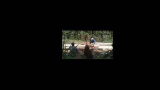 Download lagu story WA anak petani mp3