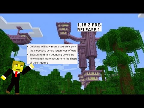 Minecraft Article Net: 1.18.2 pre release 1 released! dolphin and bastion remnant changes! and fixes