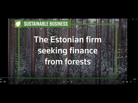 愛沙尼亞公司從森林中尋求資金 (Estonian firm seeks finance from forests)