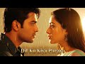 Dil Ko Kiya Paraya New Hindi Sad Romantic Love Song 2025 Bollywood Evergreen 90s Love Song