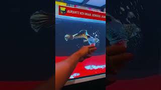 Download lagu CHANNA AURANTI FULL BARR DAN MANGAP MANGAP' mp3 Download lagu CHANNA AURANTI FULL BARR DAN MANGAP MANGAP' mp3