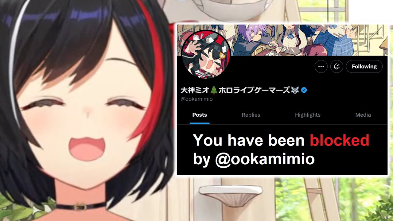 [ 29 Jul 2024 ] What you should do if Mio BLOCKS you in X (Twitter)