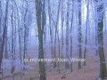 Vivaldi: The Four Seasons - Felix Ayo, I Musici