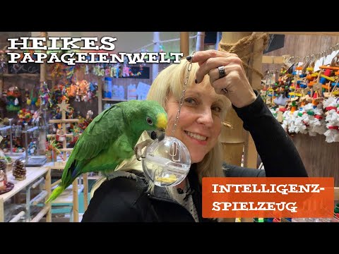 Intelligenzspielzeuge für Papageien