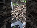 Two cords of firewood all ready to stack getting ready for winter ￼