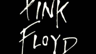 Pink Floyd - Chain of Life