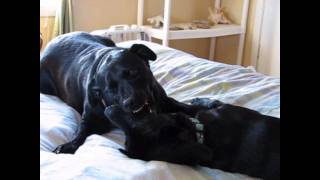 Mighty Fine Time(HD).wmv