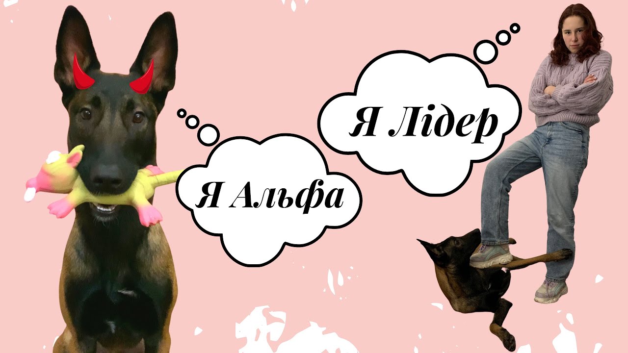 YouTube video preview