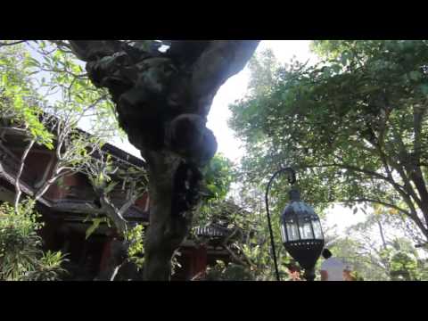 SONY XPERIA PUSH THE LIMIT 2014 BALI INDONESIA