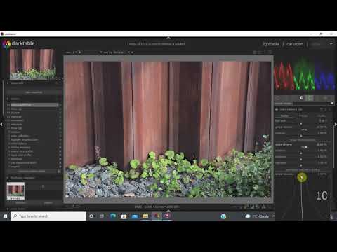 Darktable 04 (perspective correction module)