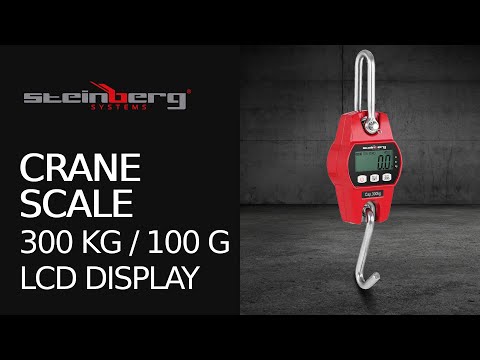video - Crane Scale - 300 kg / 100 g - red