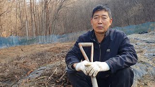 내년에 이곳에는 어떤 작물을 심을까 생각해 봅니다.