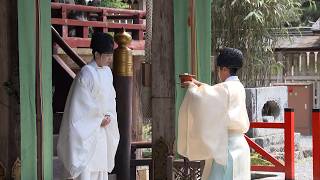 5月29日【びわ湖放送ニュース】１２００年の時を超え　日吉大社で献茶式