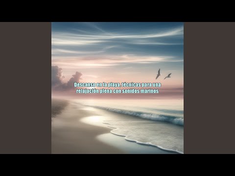 Ola tras ola, relajación continua con sonidos del océano