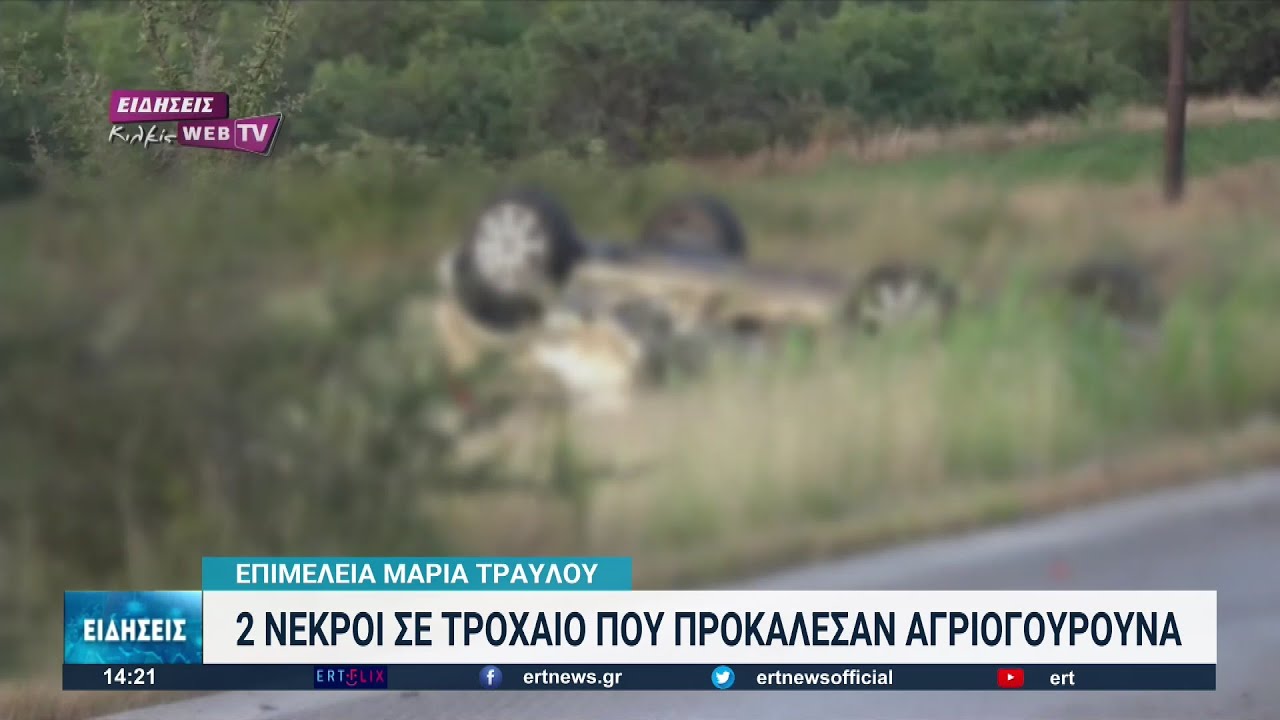 Δύο νεκροί από σύγκρουση αυτοκινήτων με αγριογούρουνα | 12/07/2022 | ΕΡΤ