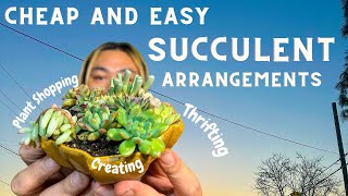 CUTEST Plant & Pot Combo Shopping on a $25 Budget