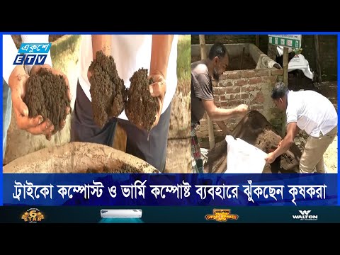 ট্রাইকো কম্পোস্ট ও ভার্মি কম্পোষ্ট ব্যবহারে ঝুঁকছেন কৃষকরা