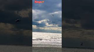 Download lagu Leo Rojas Music With Sunpa #musica #leorojas #flute #sunpa #panflutemusic mp3 Download lagu Leo Rojas Music With Sunpa #musica #leorojas #flute #sunpa #panflutemusic mp3