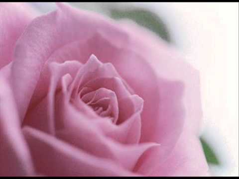 Neoficial feat. Piranha-Orasul Meu:x