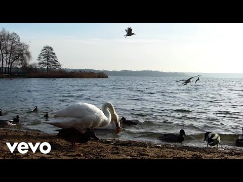 Paweł Piotrowski - Wiązanka akordeonowa polek (1)