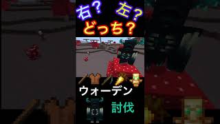 右左どっち？選んだ装備でウォーデン討伐 【マイクラ/ふれ〜く編】