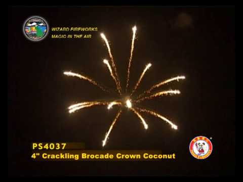 SD100CK08 - 4 INCH SHELL - WIZARD FIREWORKS - PS4037