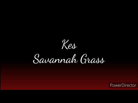 Kes - Savannah Grass (Lyrics)