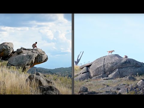 Persistence Hunting (Man Vs Animal)