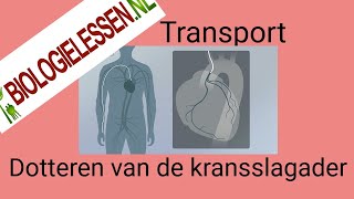 Hart en vaatziekten