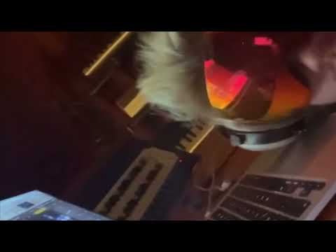 Ski Aggu - Model (Long Version)