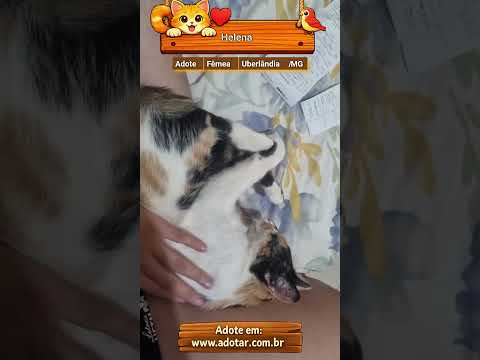 Vídeo de Helena
