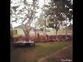 Trik Salto
