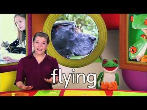 Our World_ _level 1 _ Unit 9 _ Animal Friends