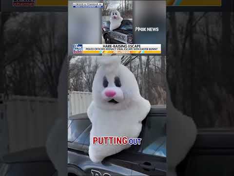 Easter Bunny reenacts VIRAL police car escape #foxnews #news #shorts #police #viral #easter